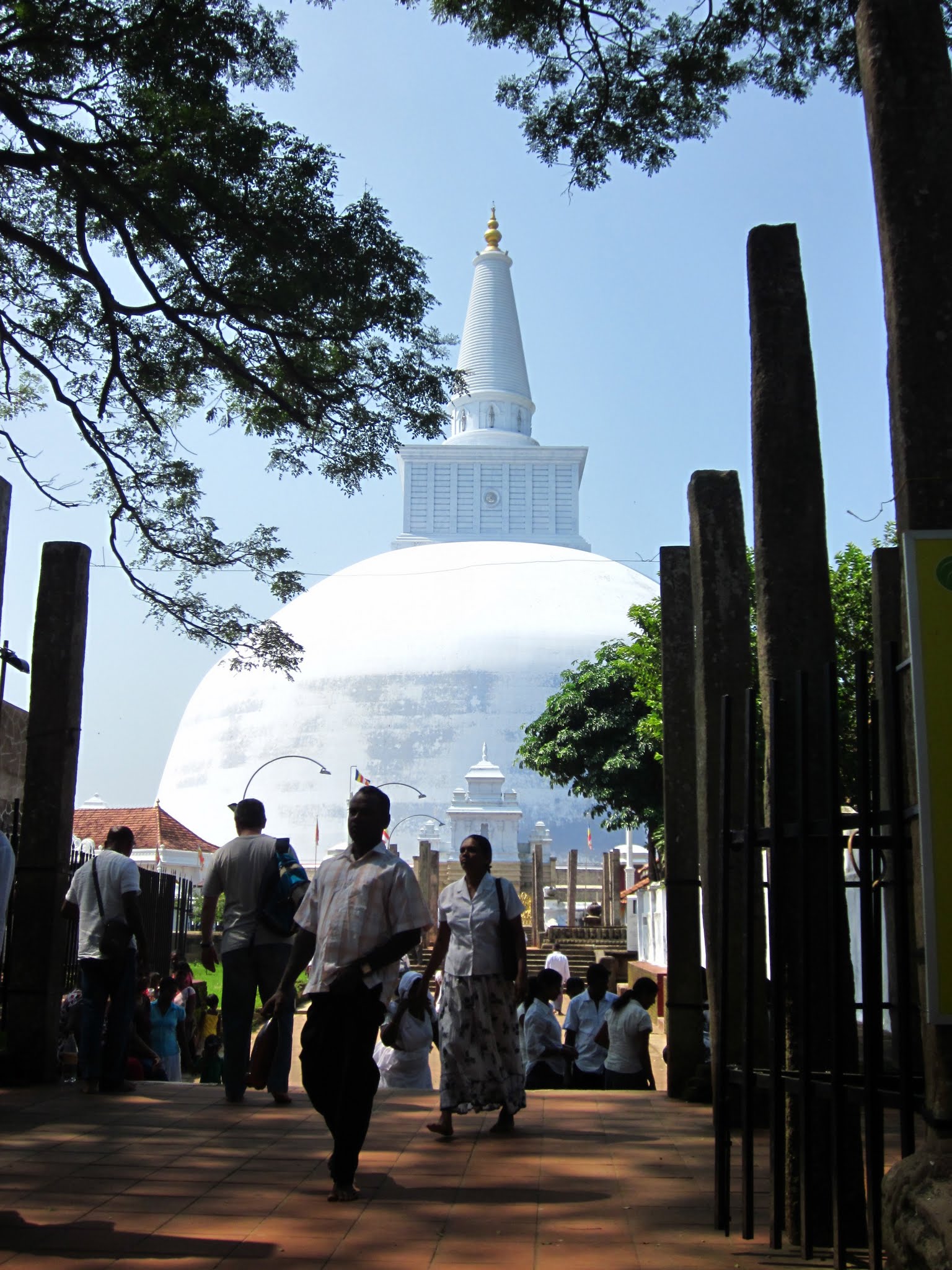 Anuradaphura