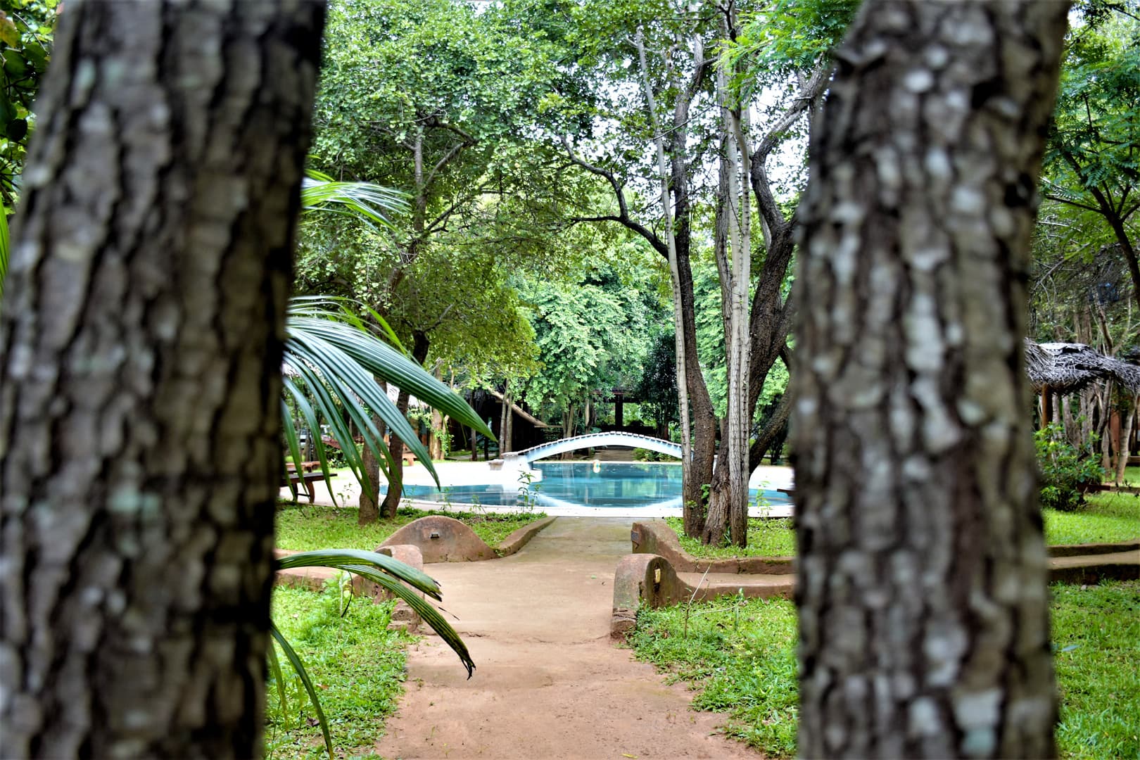 Pool view