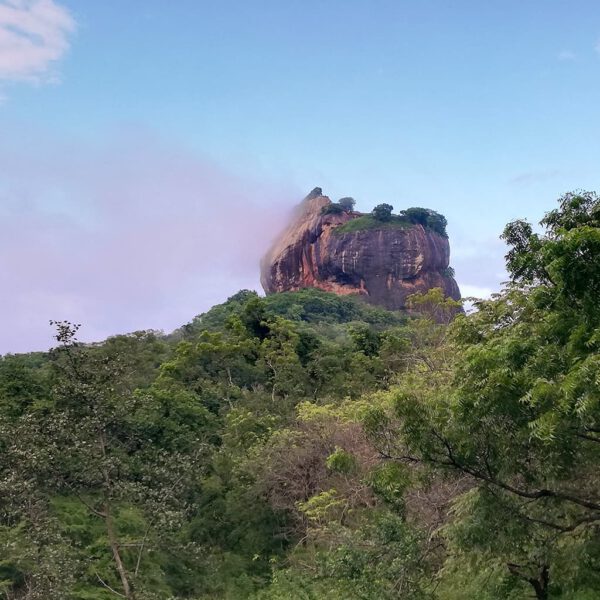 the surroundings